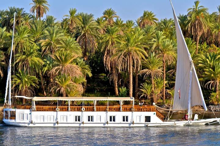 Classic Dahabiya sailing beside palm trees on the Nile